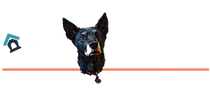The Doggie Funhouse 